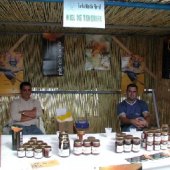 2003-04 VII Feria ecológica (La Orotava)