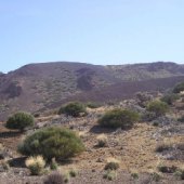 2005-10 Ruta Arenas negras